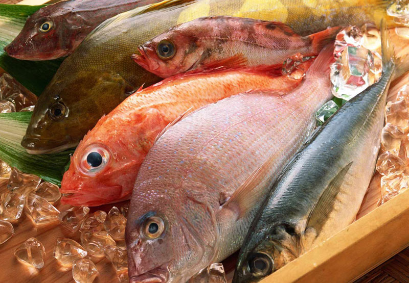 ГФС определила ТОП-10 стран-поставщиков рыбы и морепродуктов в Украину
