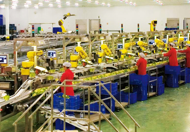 Цены в производстве пищевых продуктов и напитков не изменились – Госстат